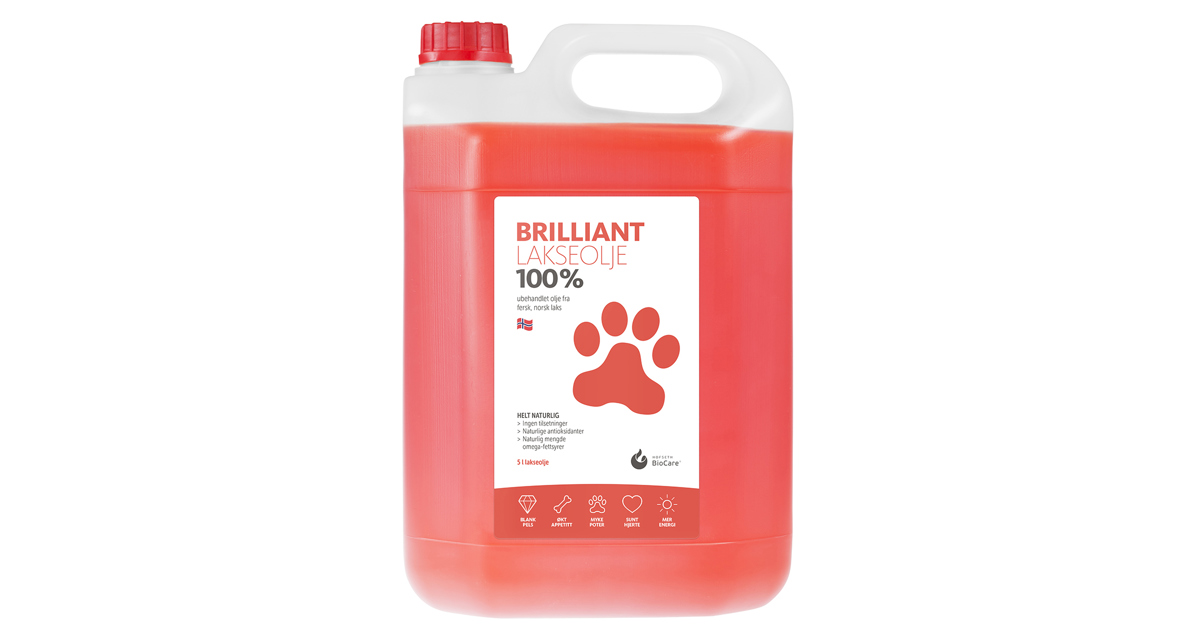 Vernis (laque) Pour Parquet Mat Mapei Ultracoat Easy 10 - Brillant 5 - Bidon De 5 Litres
