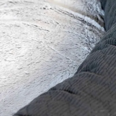 Hundeseng Nova grå, bilde 3