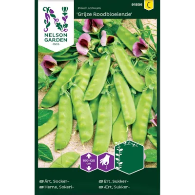 Frø sukkerert Grijze Roodbloeiende