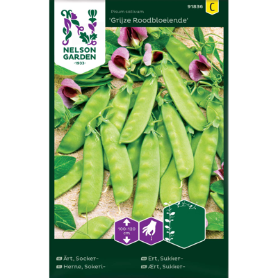 Frø sukkerert Grijze Roodbloeiende