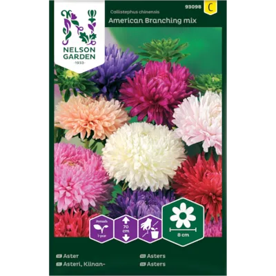 Frø asters American Branching mix