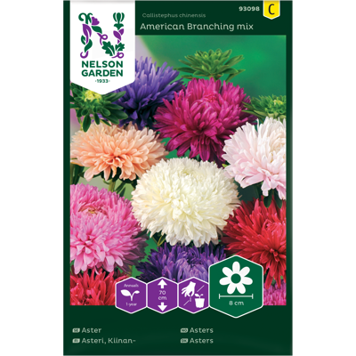 Frø asters American Branching mix