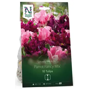 Høstløk tulipan Parrot fancy Mix LM