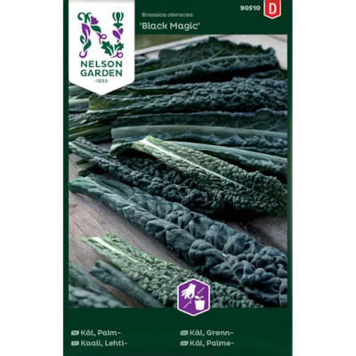 Frø grønnkål Black Magic