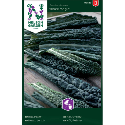Frø grønnkål Black Magic