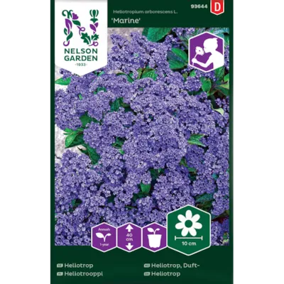 Frø duftheliotrop Marine