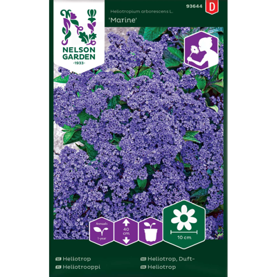 Frø duftheliotrop Marine