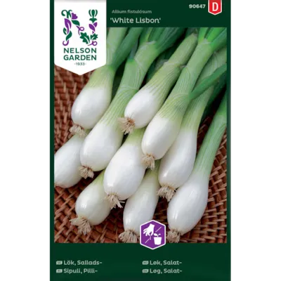 Frø salatløk White Lisbon
