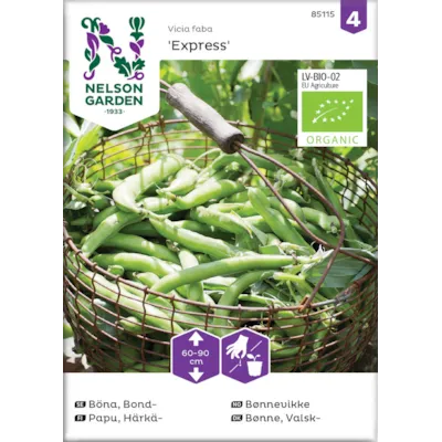 Frø bønnevikke Express økologisk
