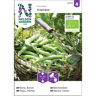 Frø bønnevikke Express økologisk