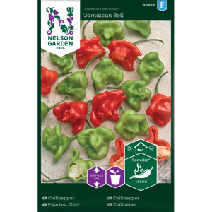 Frø chilipepper Jamaican Bell