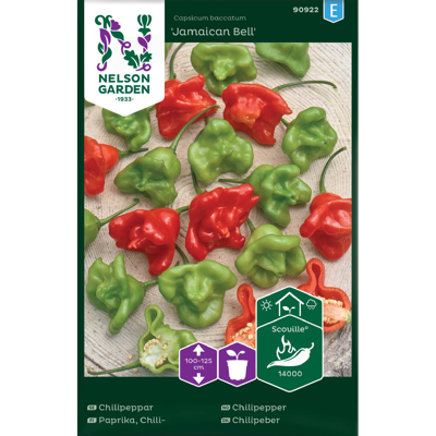 Frø chilipepper Jamaican Bell