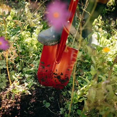 Stikkspade Classic stor, bilde 2