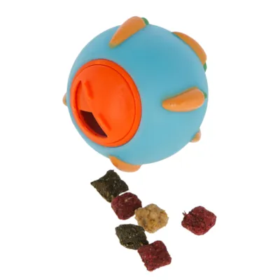 Aktiviseringsball, bilde 2