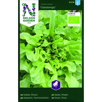 Frø bladsalat Catalonga