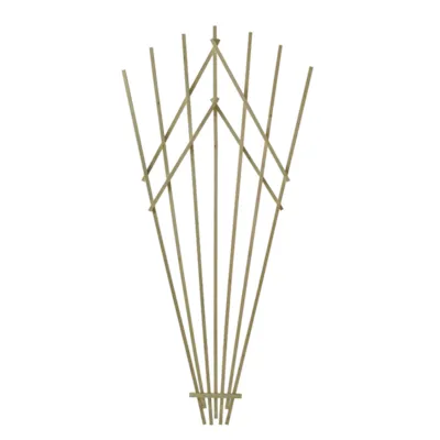 Espalier tre vifte grønn H200 cm