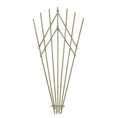 Espalier tre vifte grønn H200 cm