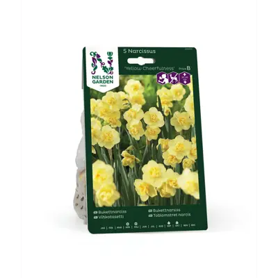 Høstløk narsiss Yellow Cheerfulness