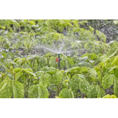 MDS sprederdyse 360°, bilde 2