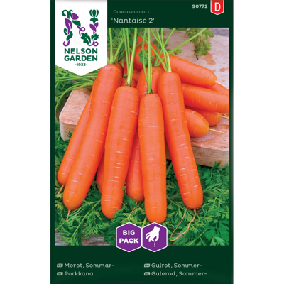Frø sommergulrot Nantaise 2 Big Pack