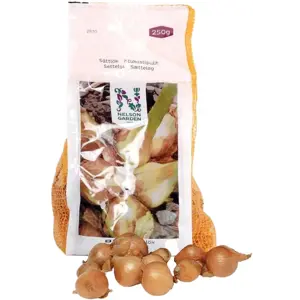 Setteløk sjalottløk Biztro 250 g