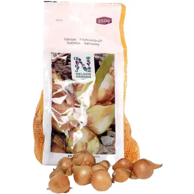 Setteløk sjalottløk Biztro 250 g