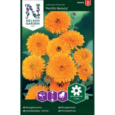 Frø ringblomst Pacific Beauty