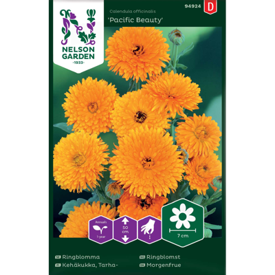 Frø ringblomst Pacific Beauty