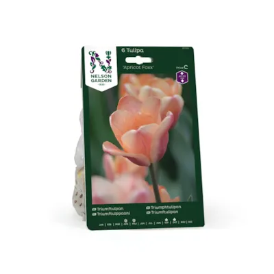Høstløk tulipan Apricot Foxx