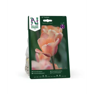 Høstløk tulipan Apricot Foxx