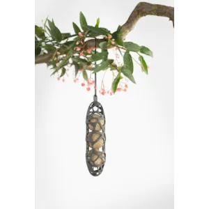 Fuglemater til meiseboller