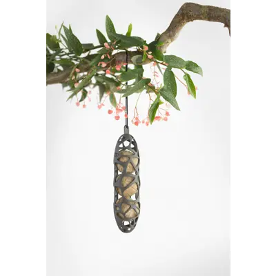 Fuglemater til meiseboller