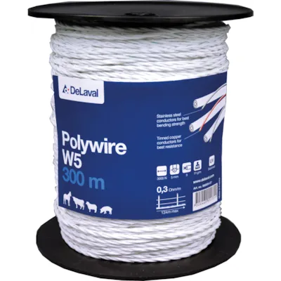 Polyband W5 L300 m