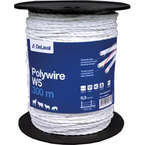 Polyband W5 L300 m