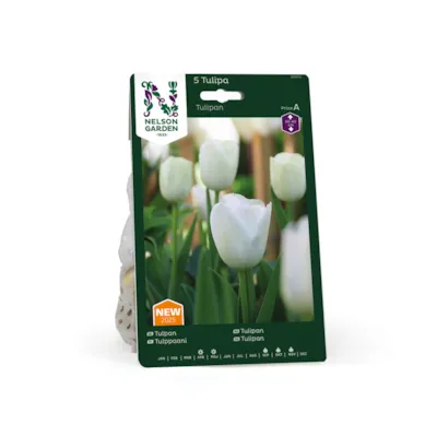 Høstløk tulipan hvit