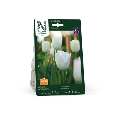 Høstløk tulipan hvit