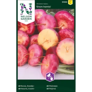 Frø mainepe Enon kanta